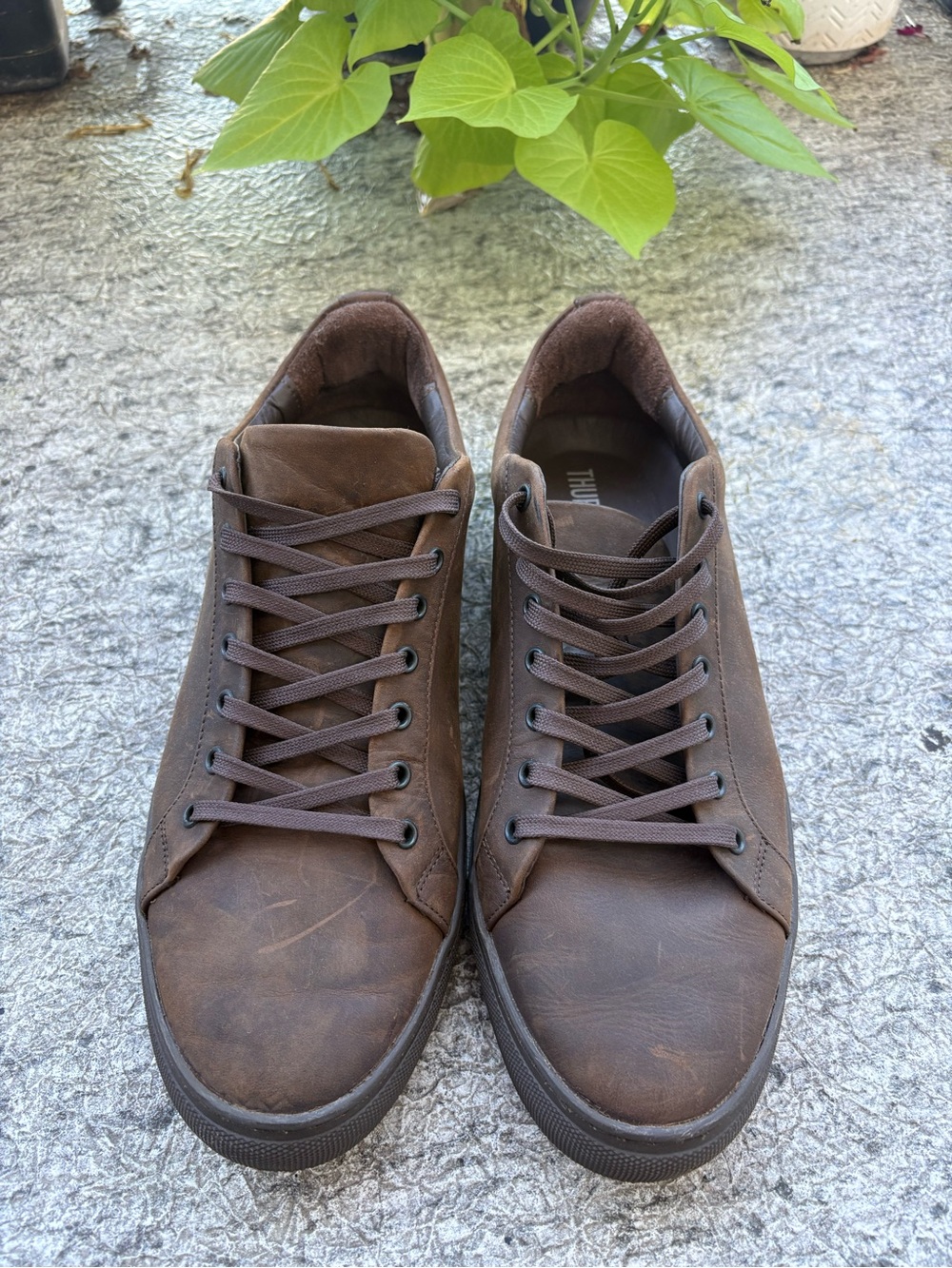 Thursday Boot Company Tobacco Leather Low-Top Sneakers